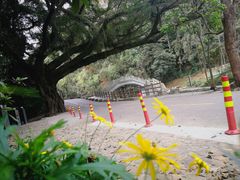 -广州市石门国家森林公园