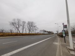 -南汇嘴观海公园