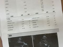 -半岛宠物医院24小时(科华中路店)