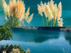 -阿露佳·舌尖上的安吉菜