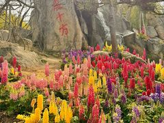 -沂蒙云瀑洞天景区