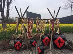 iphone_upload_pic-田园东方蜜桃村的田野营地