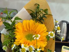 -淘花源花艺鲜花店 开业花篮 绿植(南部商务区店)