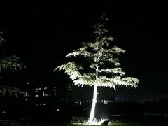 -南京医科大学(江宁校区)