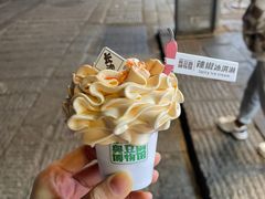 辣椒冰淇淋-董顺桃小粒臭豆腐(太平街一店)