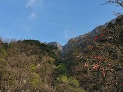 -泰山风景名胜区