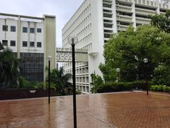 -香港大学