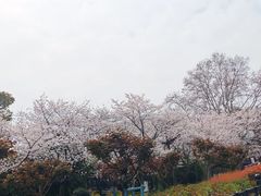 -堤角公园