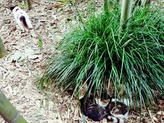 -嘉北郊野公园北游客中心-地上停车场