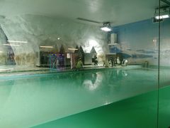 -北戴河圣蓝海洋公园