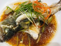 清蒸鲈鱼-盒马鲜生(馥邦国际店)