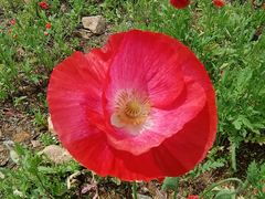 -千岛湖鱼味馆(十字街总店)