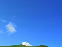 -空中草原