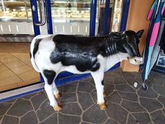 门面-Dooley's Premium Ice Cream