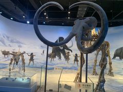 -辽宁古生物博物馆