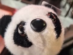 -小吊梨汤·北京菜·烤鸭(双井乐成中心店)