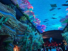 -珠海长隆海洋王国