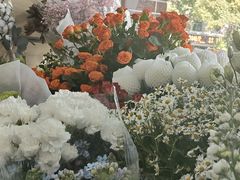 -亭亭鲜花店(中山北路店)