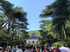 -紫金山山顶公园