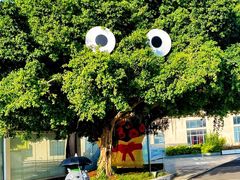 -巨鹏飞梦幻海岸