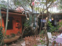 -陶缘一号·四季缘·老字号顺德菜·户外婚礼家宴(西滘店)
