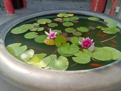 -慈恩寺