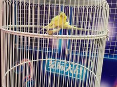 -巴黎春天(浦建店)