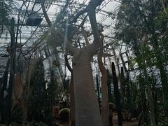 -北京植物园-展览温室