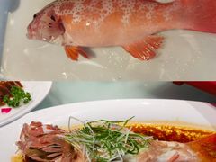 清蒸石斑-和记小菜(名品店)