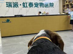 -虹泰宠物医院 ·旗舰店·24h(南秀路店)