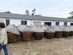 -苏州市吴中区光福窑上花果蜜饯厂