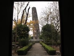 -上海佘山国家森林公园天马山园