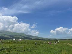 -新疆那拉提国家旅游度假区