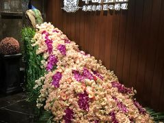 -半岛翡丽海鲜自助餐厅(观风亭店)