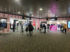 -日上免税行(浦东机场五店)