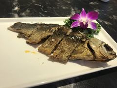 蘇鳞鲫鱼-楚禾宴·家宴(光谷大道店)