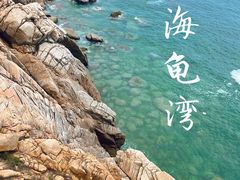 -广东惠东海龟国家级自然保护区