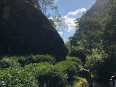 -悠悠美食