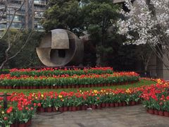 -新湖明珠城