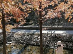 -白水寺森林公园