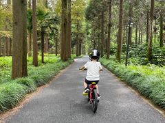 -上海怡沁园度假酒店