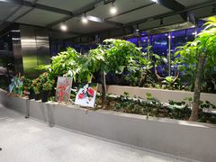 -北国商城