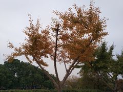 -南京科技馆