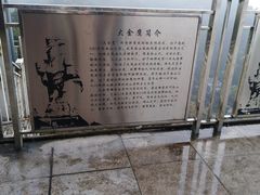 -大金鹰园