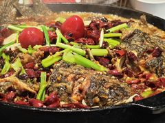 -老板恋上鱼(恒隆广场店)