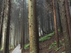 -山王坪喀斯特国家生态公园
