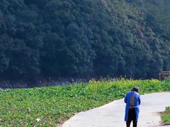 -新安江山水画廊风景区