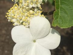 -昆山城市生态森林公园