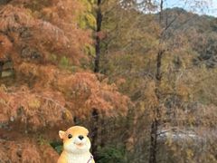 -云溪植物园