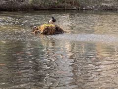 -水磨沟公园